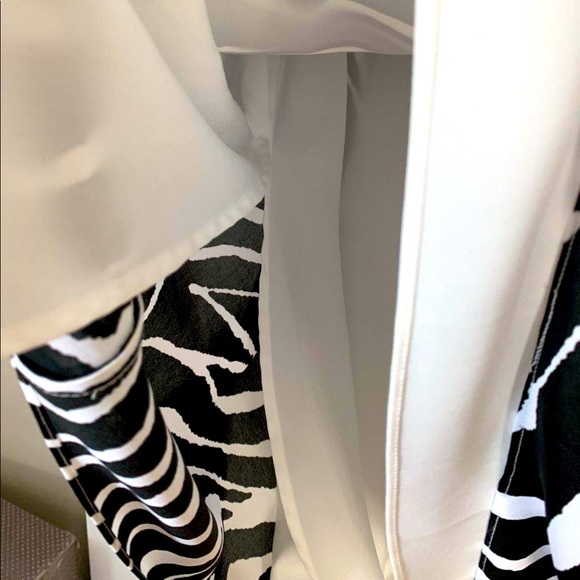 BNWOT Banana Republic Zebra Print Long Lined Skirt - Picture 4 of 5